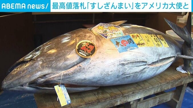 5億円超の大間マグロ