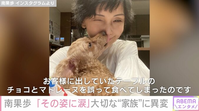 南果歩、愛犬がチョコレートを誤食し発熱 すい炎に…「まだまだ油断できません」 1枚目