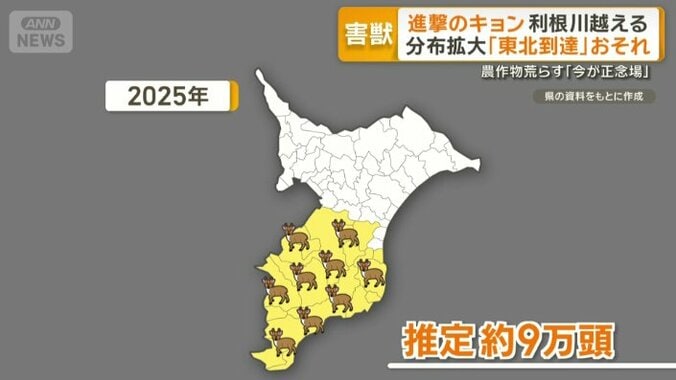 2025年には推定約9万頭