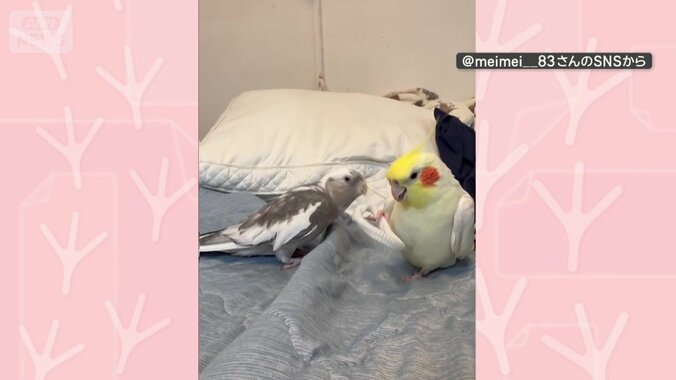 仲良く遊ぶ