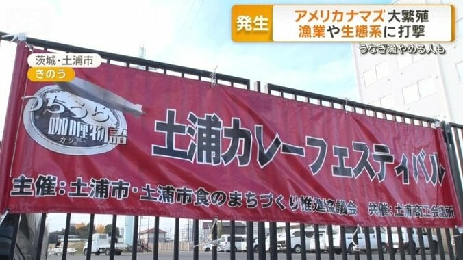 茨城県で開催されたカレーフェスティバル