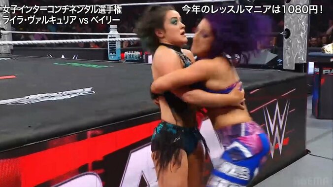 怒りのベイリー