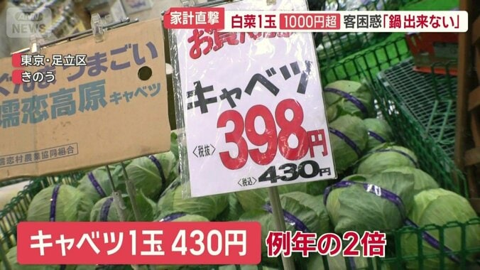 キャベツ1玉430円