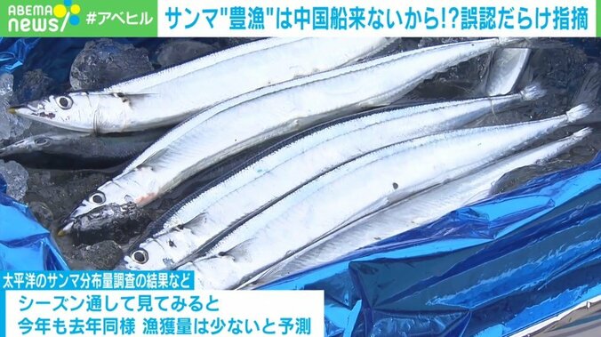 中国が処理水放出で獲らなくなった→サンマが“豊漁”？ 根拠ない憶測、メディアの問題も 専門家に聞く 1枚目