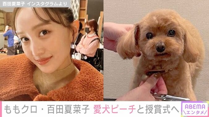 ももクロ百田夏菜子、愛犬と“インターペットアワード”を受賞「ピーチちゃん受賞おめでとう」と祝福の声 1枚目