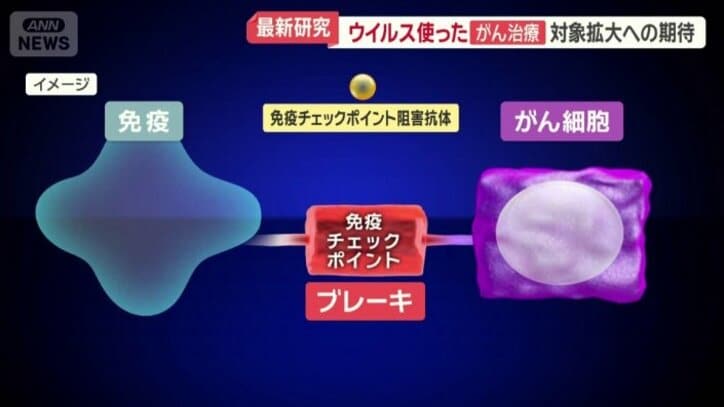 免疫チェックポイントの働きを阻害