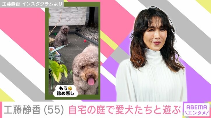 工藤静香の愛犬