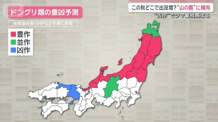 この秋どこでクマ出没増?ドングリの実りに“ある傾向” 凶作で高まる警戒