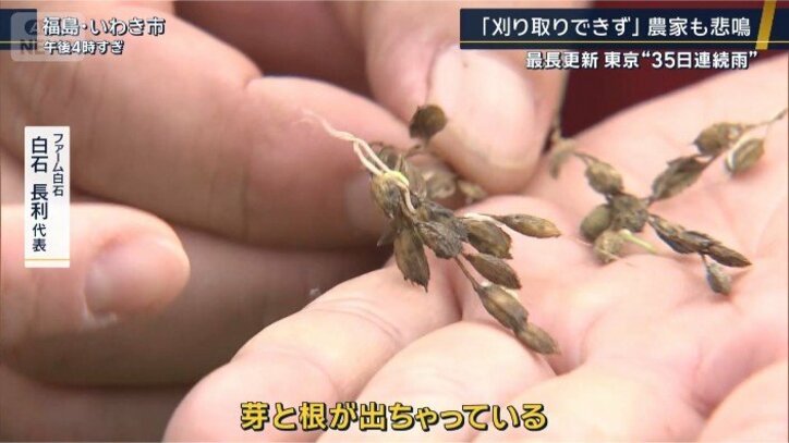 ファーム白石 白石長利代表