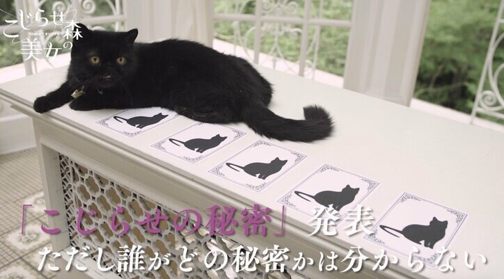 『こじらせ森の美女』に登場する黒猫がかわいすぎると話題に「癒される～」