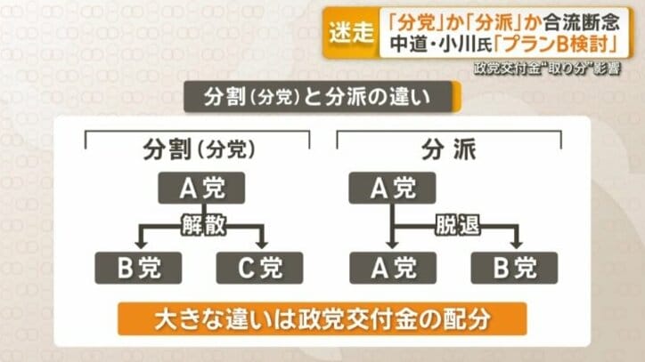 分党と分派の違い