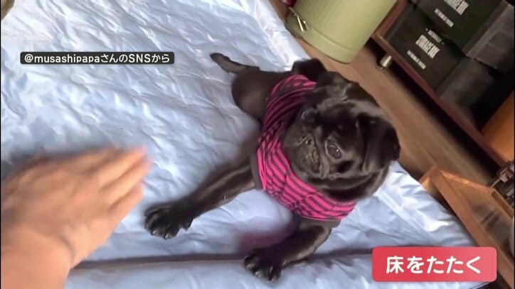 床をたたく