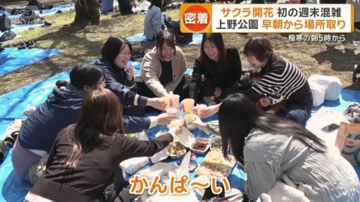 花見を楽しむ人たち