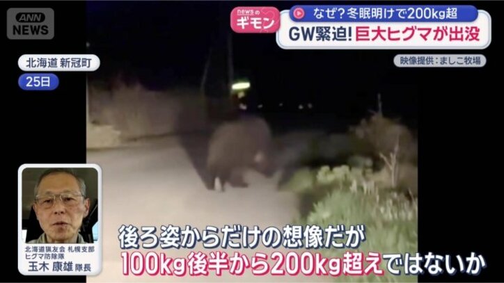 「山の中では縄張りを主張できる」