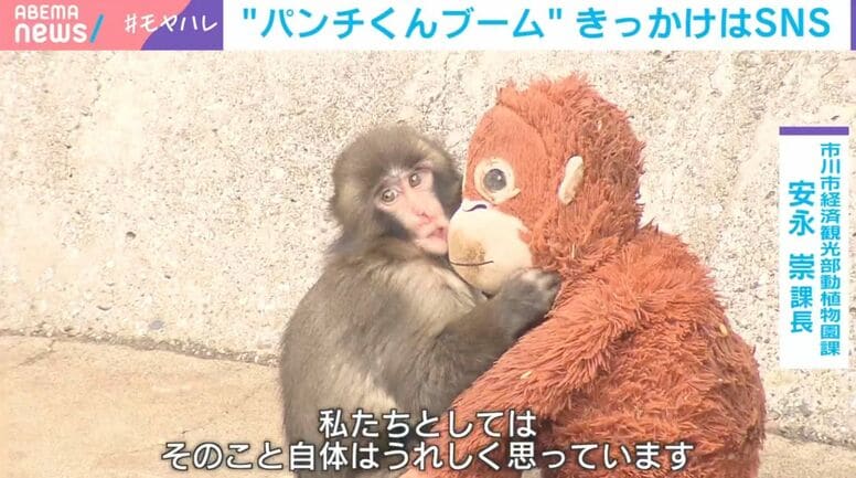 空前の“パンチくんブーム”「オランウータンママを引きずる1枚の写真」が大バズり…撮影者も驚き「だんだん怖くなってきて」海外メディアの予想外の対応明かす