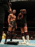 1月4日、東京ドームが世界のプロレスの中心になる　オカダvs内藤、オメガvsジェリコ、飯伏vsCody、鈴木みのるvs後藤…新日本プロレスの総力戦を見よ