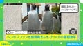 飼育員もびっくり！ペンギンの“大胆すぎる”寝相が「きっと大物になりますね」と話題