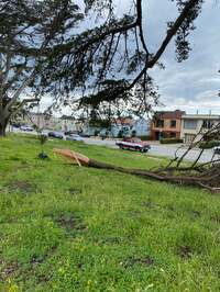 野沢直子『ただいまのサンフランシスコ』