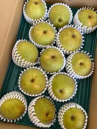 戸田恵子『さびしさがつのりますね。』