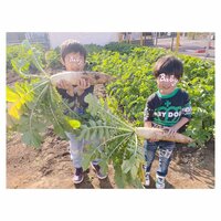 辻希美『農業祭り♡』