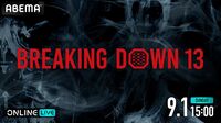 Breaking Down13（ブレイキングダウン13）結果速報・対戦カード・大会情報