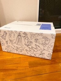 堀ちえみ『今年のディズニーオンライン限定ラッキーバッグ』