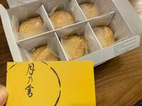 真飛聖『今日も』