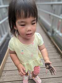 チェリー吉武『チェリ子でやんす』