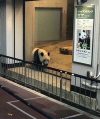 だいたひかる『病気後に変わった行動力』