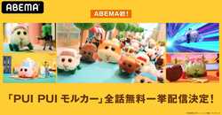 かわいいモルカーたちがABEMAに大集合！アニメ『PUI PUI モルカー』全話無料一挙配信