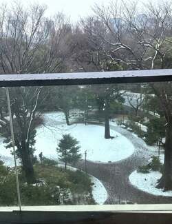  北斗晶、宿泊するのも一苦労だった都内のホテル「部屋が満室満室で」 