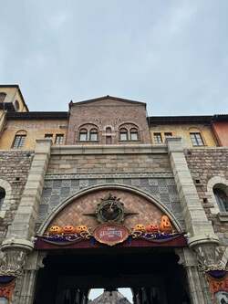 料理研究家、3連休中に訪れたTDSで歓声があがった理由「アナウンス流れたら」 