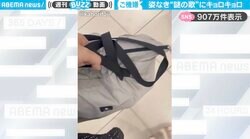 バッグから聞こえる謎の陽気な口笛…“驚愕の正体”に「絶対ご機嫌な人と勘違いされてるw」「白雪姫の小人の歌みたいw」と話題沸騰