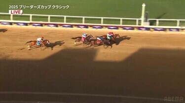 ブリーダーズカップ　祝フォーエバーヤング記念　米国　最強牝馬ゼニヤッタポスター ブリーダーズカップ 祝フォーエバーヤング記念 米国 最強牝馬