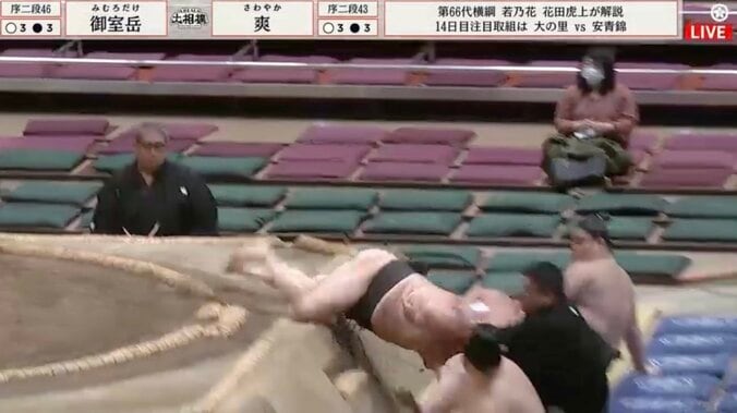 大相撲土俵外でヒヤリの瞬間