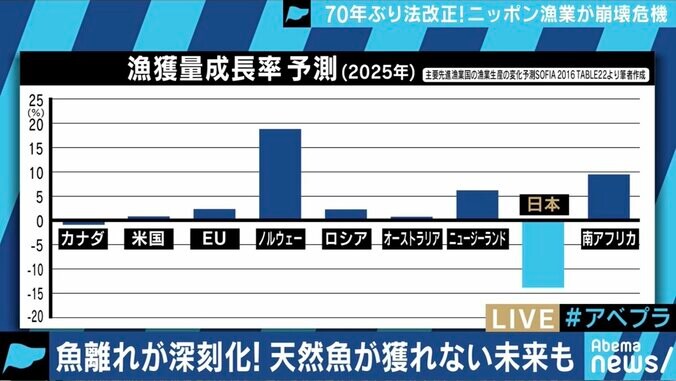 漁獲高制限で値段は？養殖ものの価値が上がる？70年ぶりの法改正と日本の漁業の未来は 7枚目