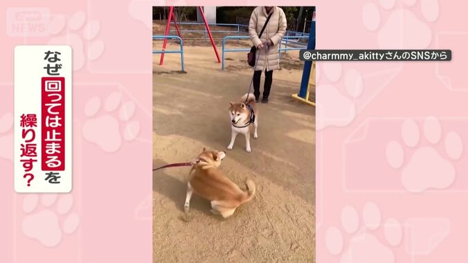 なぜ回ってはピタッと止まるを繰り返す？