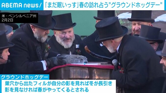 春の訪れを占うフィル