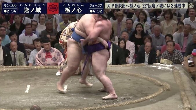 227キロ逸ノ城が一瞬ふわり　もろともしない栃ノ心の超パワーで寄り切り 1枚目