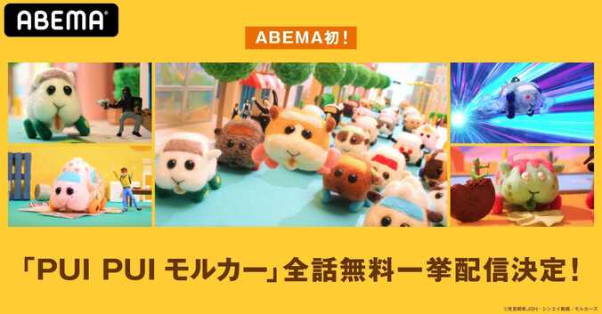かわいいモルカーたちがABEMAに大集合！アニメ『PUI PUI モルカー』全話無料一挙配信 1枚目