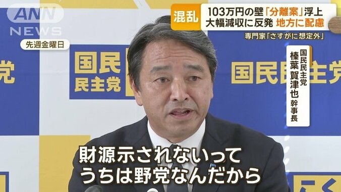 国民民主党　榛葉賀津也幹事長