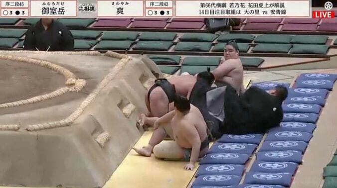 大相撲土俵外でヒヤリの瞬間