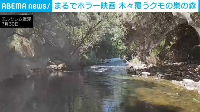 エルサレム近郊