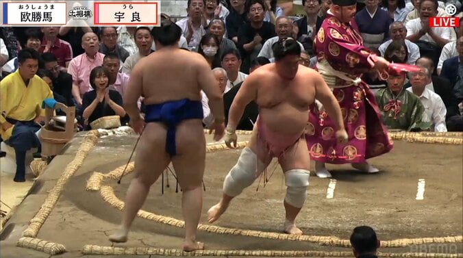 「めっちゃ目立つ」大相撲、溜まり席に存在感“ハンパない”男性著名人の姿 「視線が鋭い」ファン驚き 2枚目