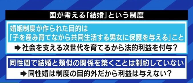 結婚の目的は“子どものため”!? 同性婚訴訟で飛び出した国の主張に波紋…制度導入のカギは“自民党をどう動かすか”？ 2枚目