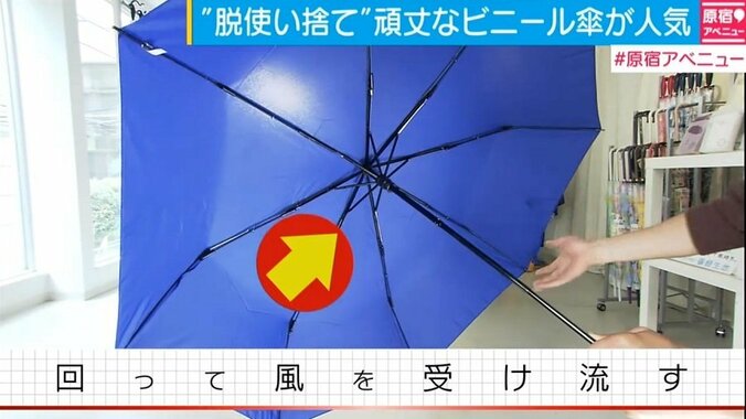 強風でも壊れない“脱使い捨て”傘が人気、秘密は「材質」と「回転」 2枚目
