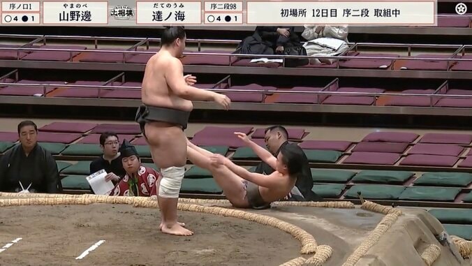 「ぶん投げられた！」若手力士の取組で衝撃結末