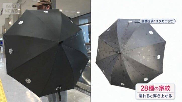 濡れると戦国武将の家紋が浮き出る