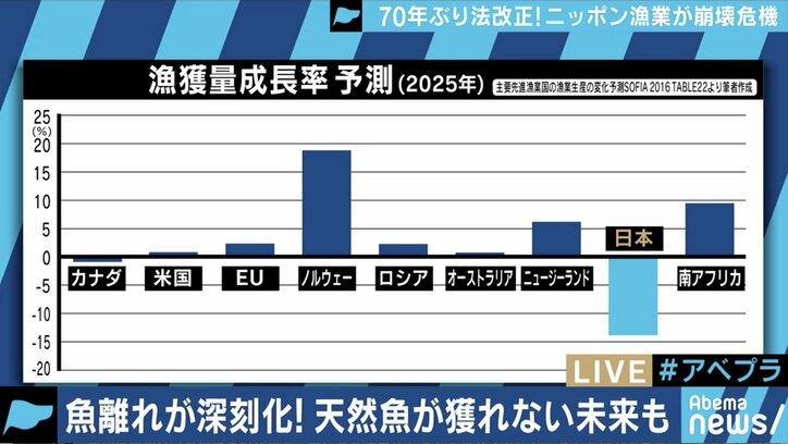 漁獲高制限で値段は？養殖ものの価値が上がる？70年ぶりの法改正と日本の漁業の未来は