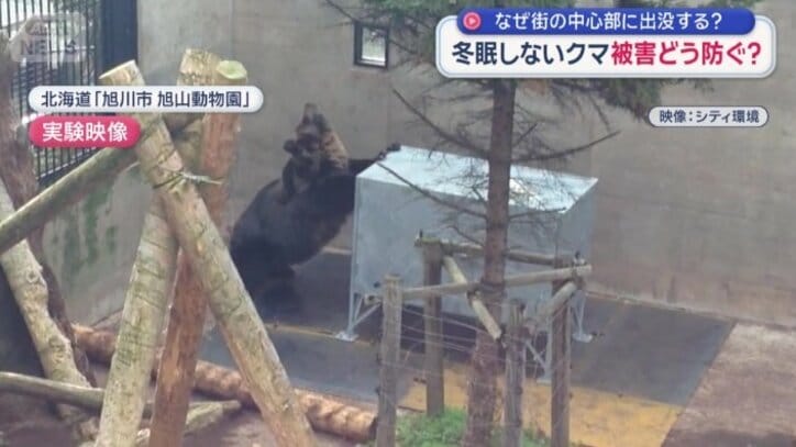 鉄製のごみステーションを力任せに押すヒグマ